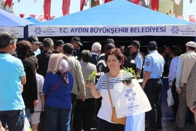 Aydın Büyükşehir Efeler’de 70 Bin Sebze Fidesi Dağıttı