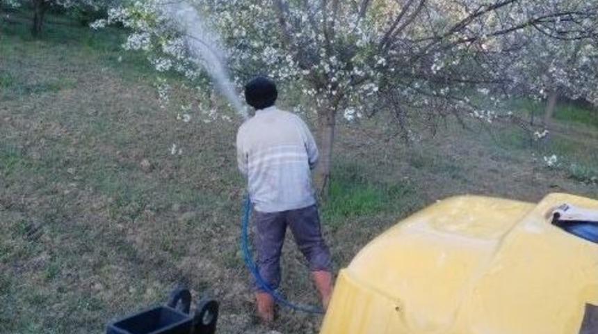 Kiraz Ve Vişne Bah&ccedil;elerinde Zirai M&uuml;cadele