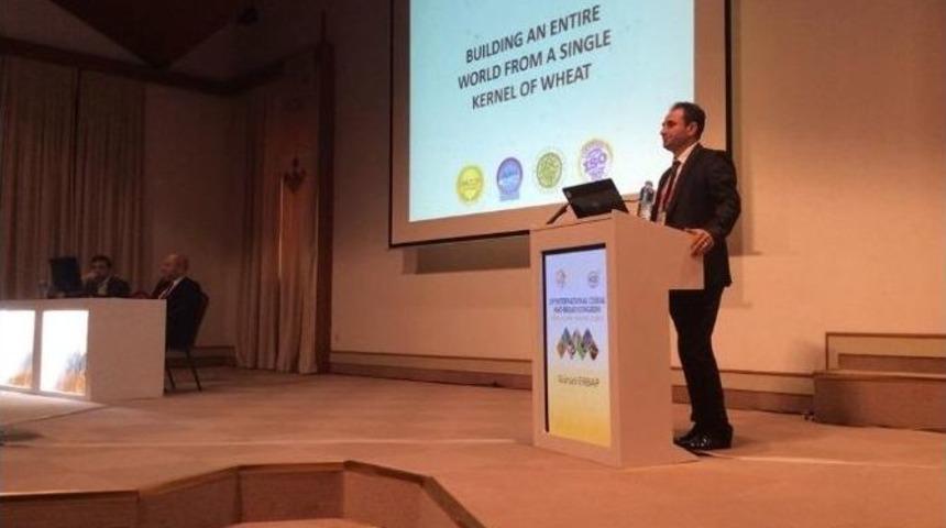 &ldquo;2016&rsquo;da Paketli Ekmek T&uuml;ketimi Artarken, Paketsiz Ekmek T&uuml;ketimizi Azalacak&rdquo;