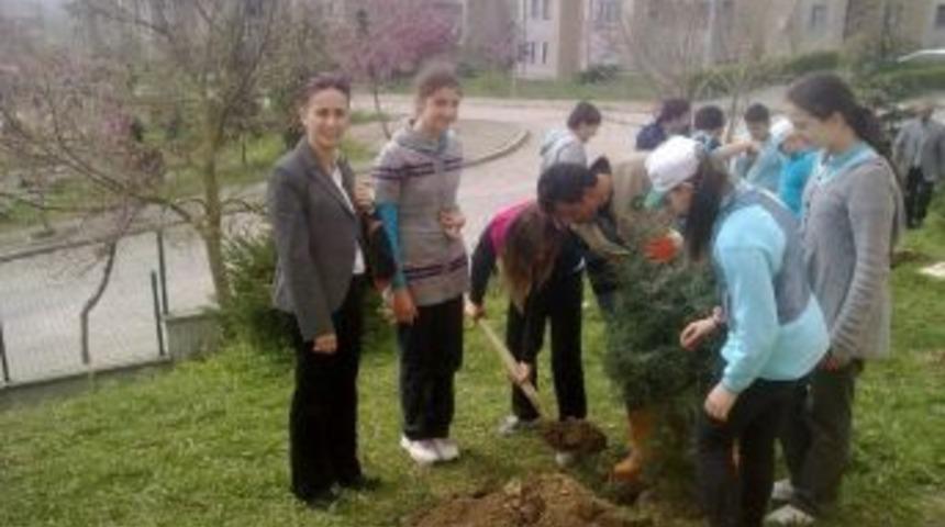 Okullarda Ağa&ccedil;landırma &Ccedil;alışmaları Başlıyor