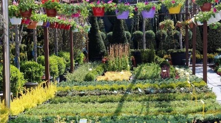 &Ccedil;i&ccedil;ek Pazarı&rsquo;nda Yenileme &Ccedil;alışmaları