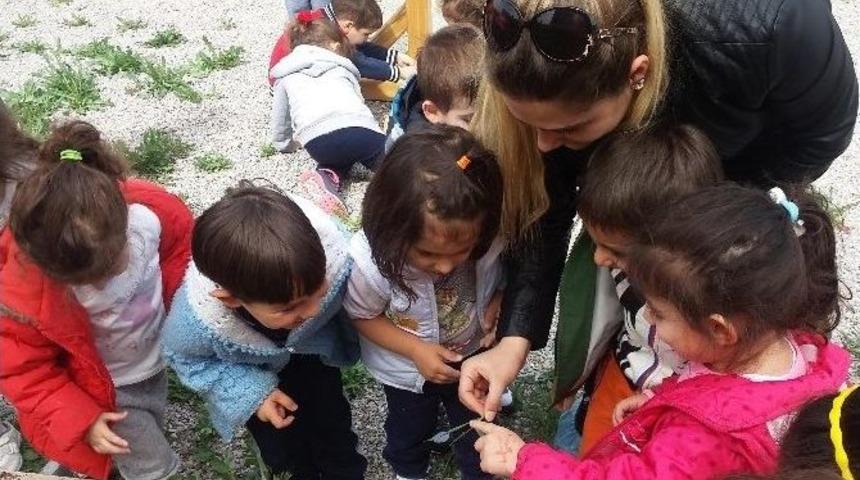 Bostanda Minik Eller