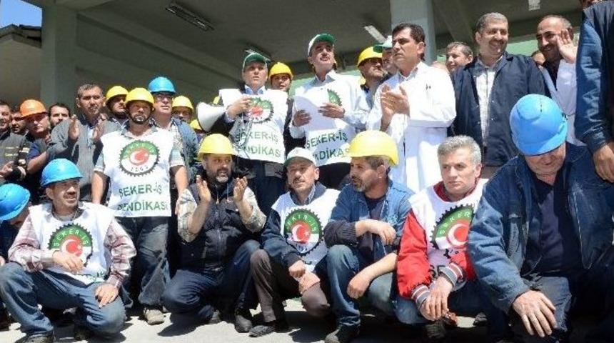 Şeker İş&ccedil;ilerinden Bir Garip Eylem