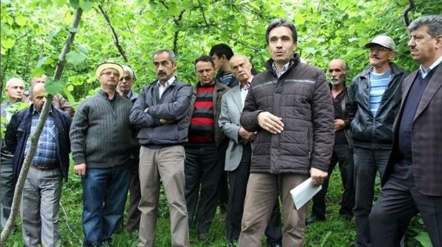 &Uuml;nyeli &Ccedil;ift&ccedil;ilere &ldquo;fındıkta Entegre M&uuml;cadele&rdquo; Anlatıldı