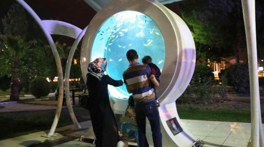 Haliliye&rsquo;de Parklar Geceleri Işıl Işıl