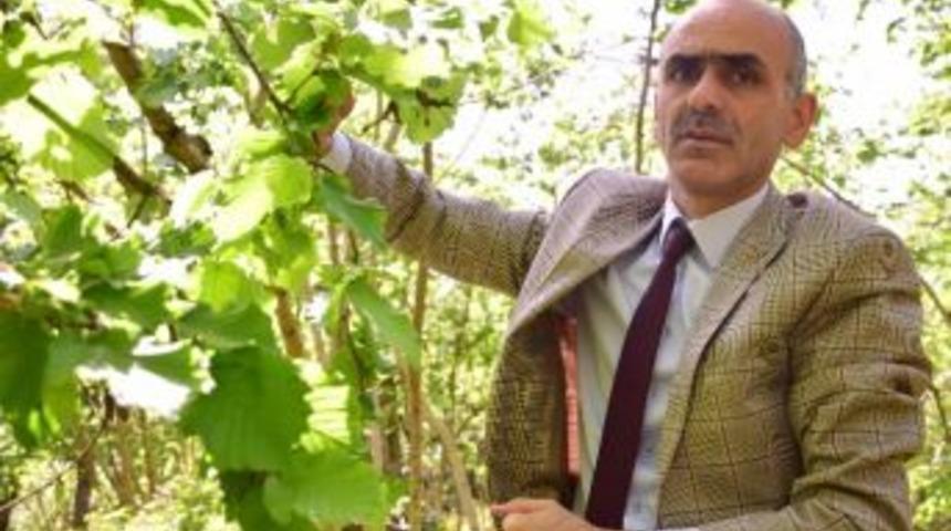 Alan Bazlı Gelir Desteği Haziran&rsquo;da &Ouml;denmeye Başlanılacak