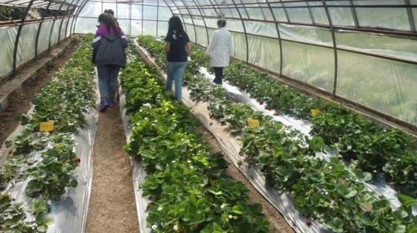 Şanlıurfa’ya 56 Mühendis Ve 25 Veteriner Hekim Alınacak