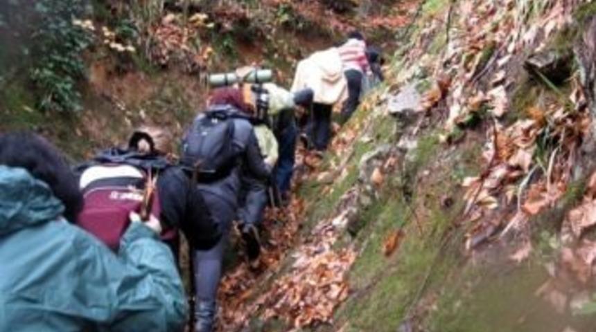 Yalova Tabiat Turizmi Eylem Planı Tamamlandı