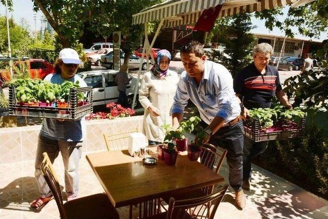 Yunusemre Belediyesi’nden Esnafa Çiçek Hediyesi