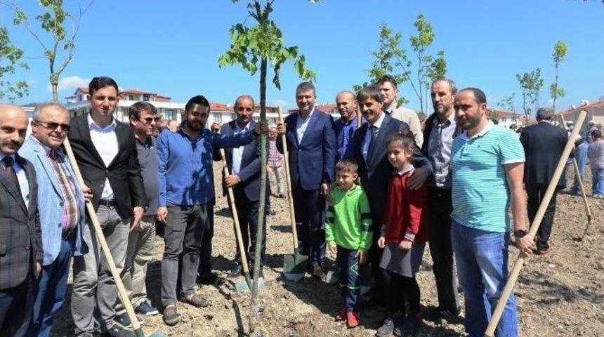 Başkan Alemdar Proje Kapsamında &lsquo;bir Ağa&ccedil; Dik, Bir Nesli Kurtar&rsquo; Sloganıyla Fidan Dikti