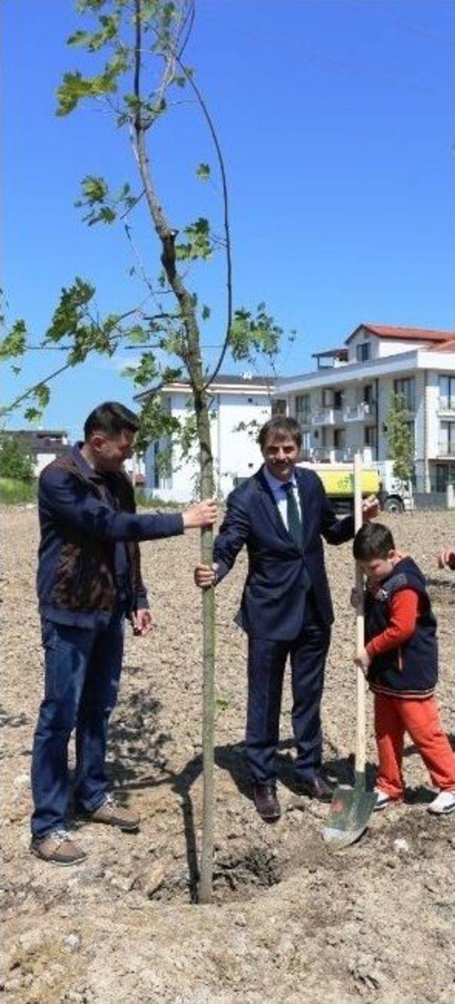 Başkan Alemdar Proje Kapsamında ‘bir Ağaç Dik, Bir Nesli Kurtar’ Sloganıyla Fidan Dikti