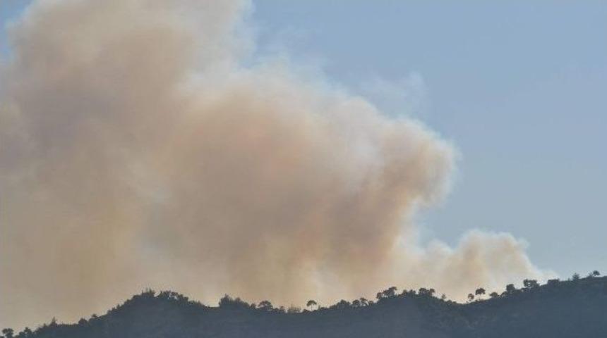 Aydın&rsquo;da Orman Yangını