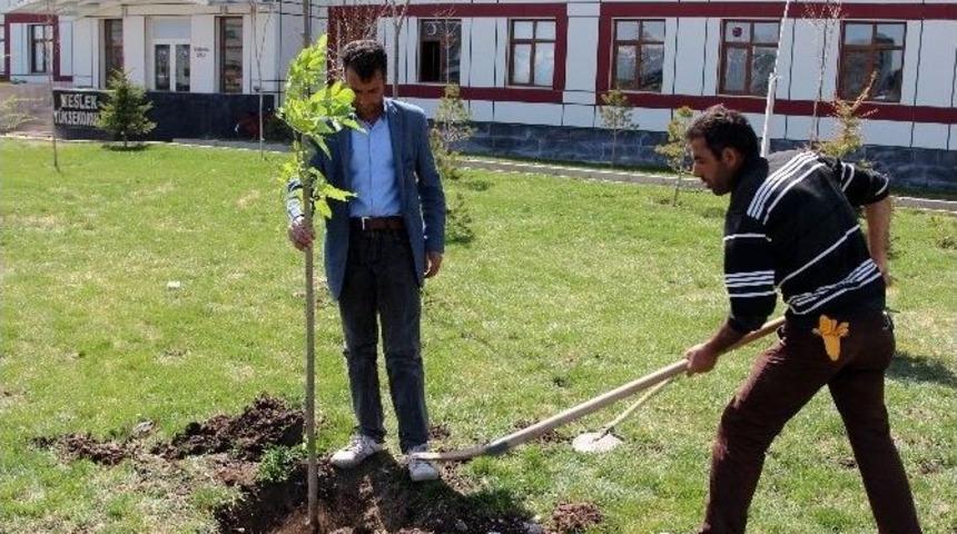 Ağrı İbrahim &Ccedil;e&ccedil;en &Uuml;niversitesi&rsquo;nde 15 Bin Ağa&ccedil; Toprakla Buluştu
