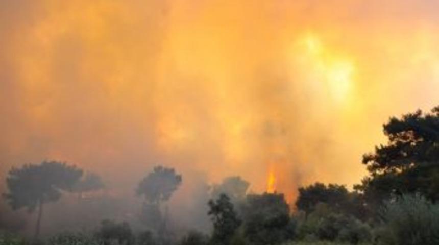 Aydın&rsquo;daki Yangın 6 Saatte Kontrol Altına Alındı