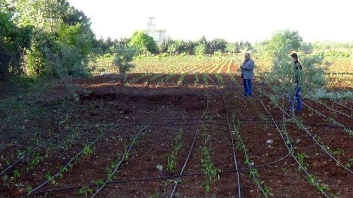 Kilis Güne Roketlerle Uyandı G1