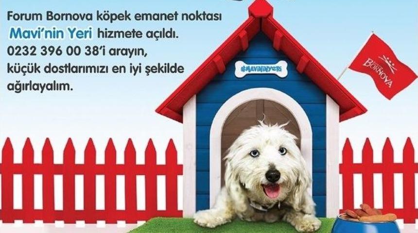 Forum Bornova Mavi&rsquo;nin Yeri&rsquo;nde Minik Dostlar G&uuml;vende