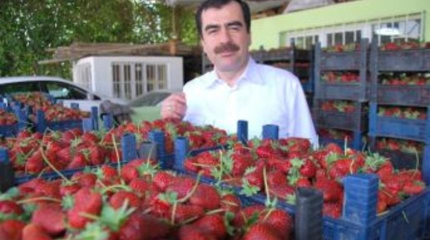 Erdem; &ldquo;indirim T&uuml;m &Ccedil;ift&ccedil;ilerimize Hayırlı Olsun&rdquo;