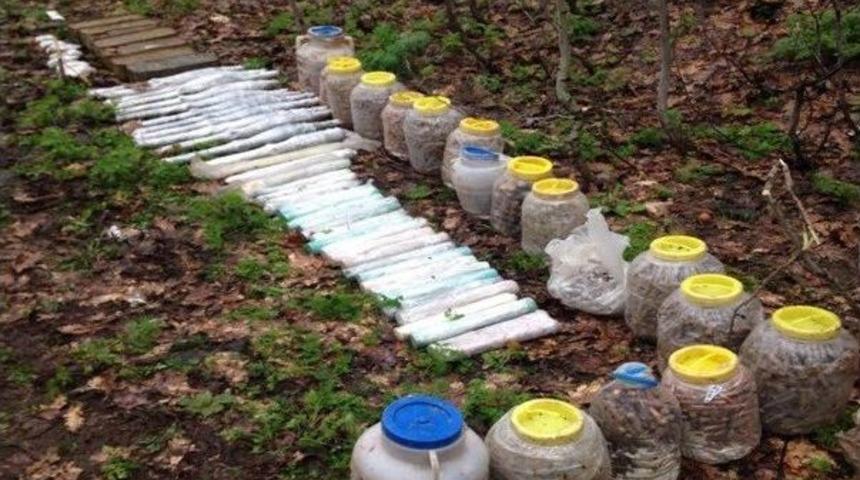 Bing&ouml;l&rsquo;de Pkk Cephaneliği Ele Ge&ccedil;irildi