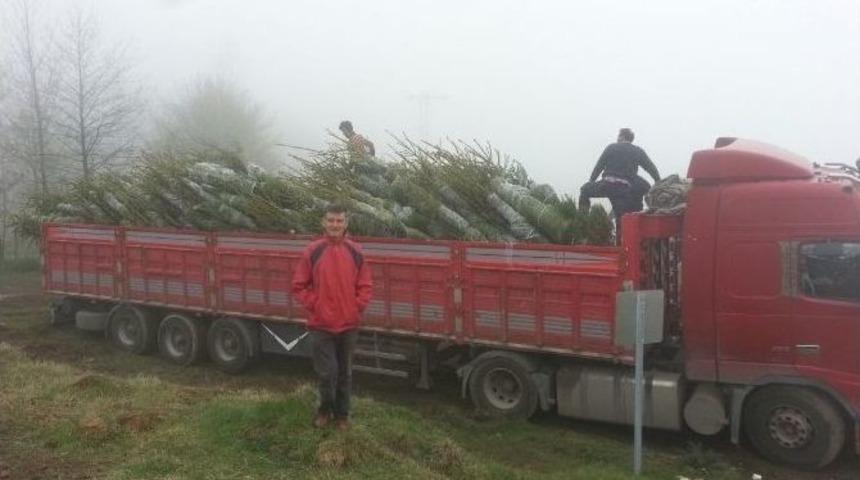 Emekli Parasını Yatırdığı İşinden Kazanmaya Başladı