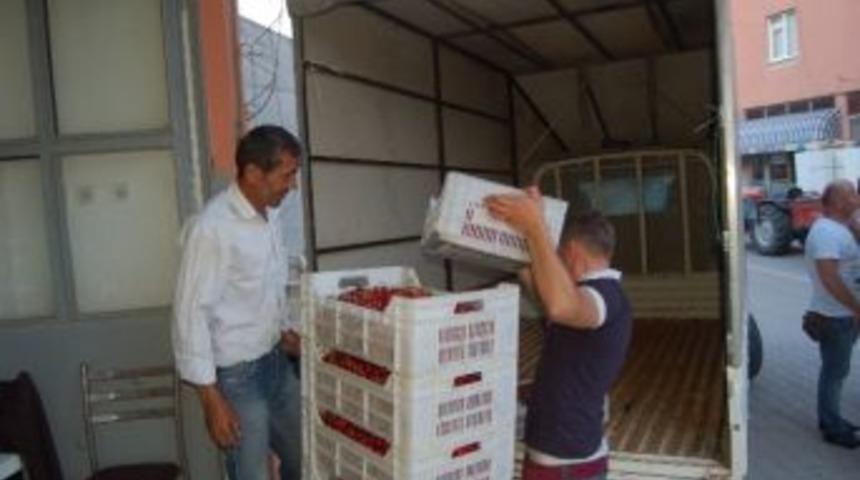 Lapseki&rsquo;de Kiraz İhracatı