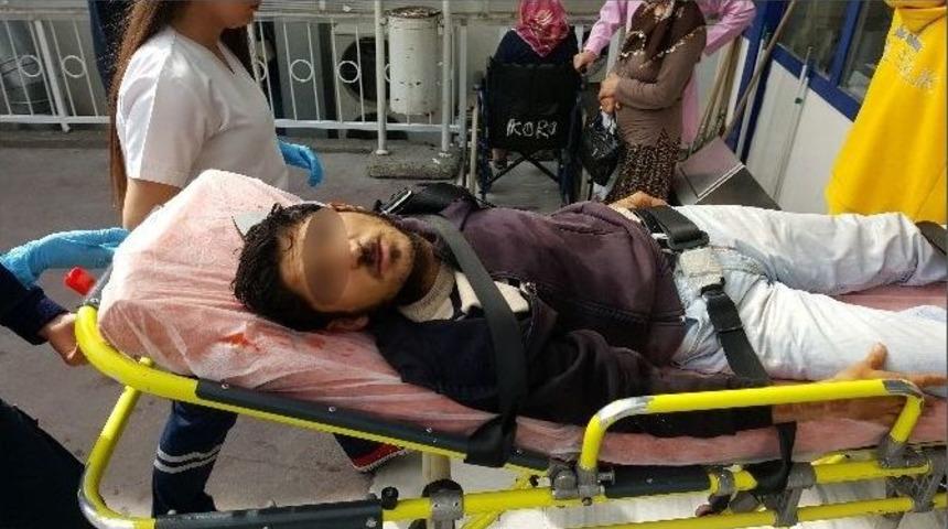 Kocaeli&rsquo;de Bonzai Kabusu Devam Ediyor