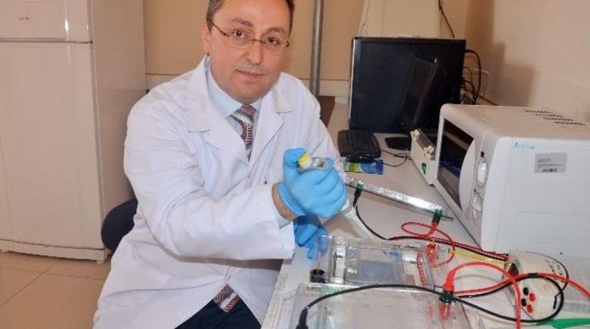 Prof. Dr. Yıldırım: "t&uuml;rkiye&rsquo;de Gdo&rsquo;lu Buğday Yok"