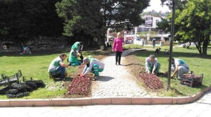 Parklara Binlerce &Ccedil;i&ccedil;ek Dikiliyor