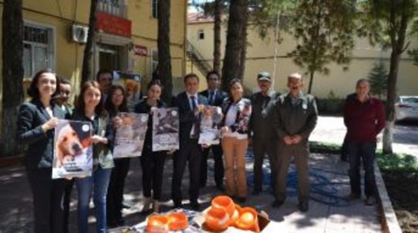 Beylikova&rsquo;daki Sahipsiz Hayvanlar İ&ccedil;in Seferberlik