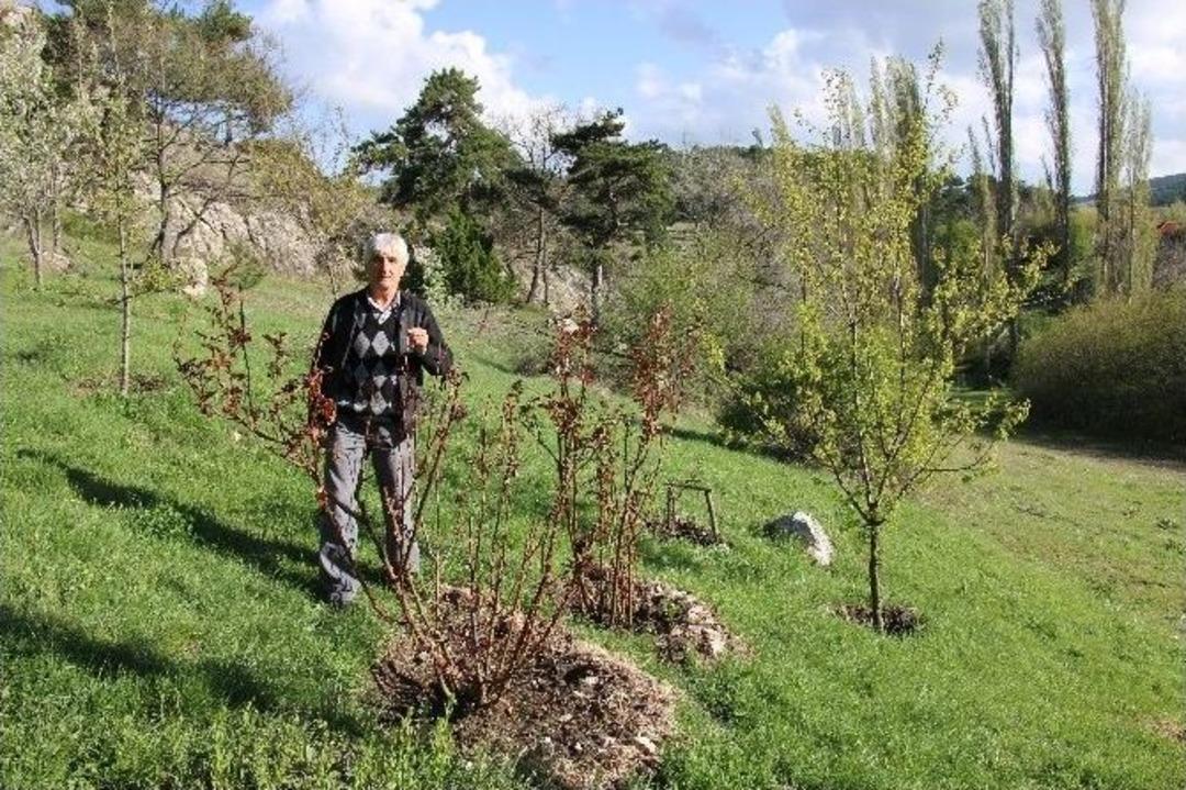 K&ouml;yden Şehre G&ouml;&ccedil; Tersine D&ouml;nd&uuml;