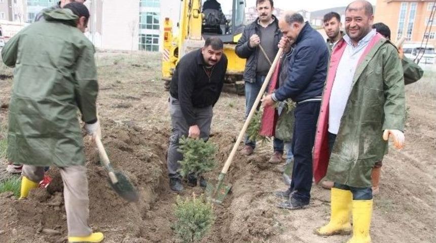 Diyadin Devlet Hastanesi&rsquo;nde Fidan Dikimi