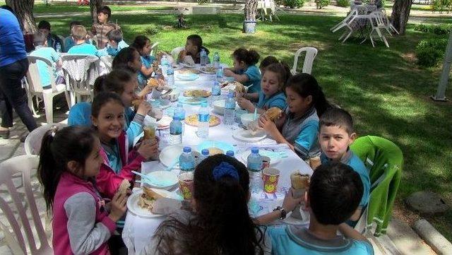 Hem Beslendiler, Hem Eğlendiler 2