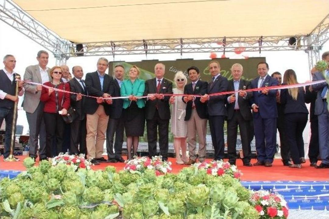 Urla&rsquo;da Uluslararası Enginar Festivali Coşkusu