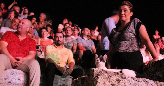 Perge de masalsı g&ouml;steri 4