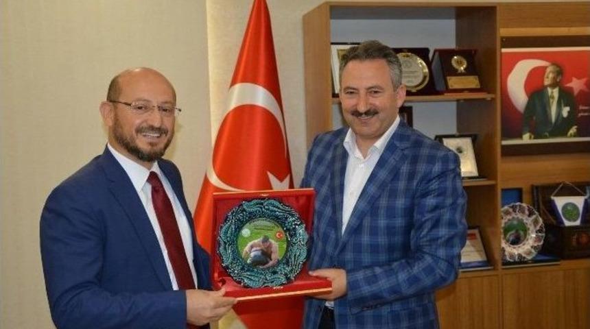 Aybastı Ve Niksar İl&ccedil;eleri Arasında G&ouml;n&uuml;l Bağı