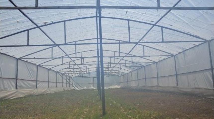 Erciş Belediyesi Sera Kuruyor