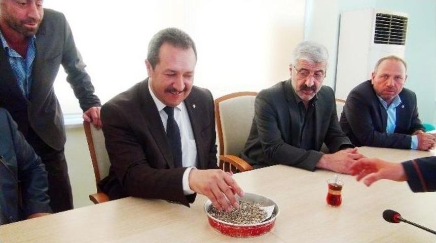 Şanlıurfa&rsquo;da Yılın İlk Arpa Mahsul&uuml; G&ouml;r&uuml;c&uuml;ye &Ccedil;ıktı