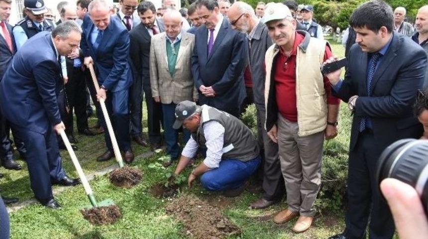 Okul Bah&ccedil;esinde Fidan Diktiler