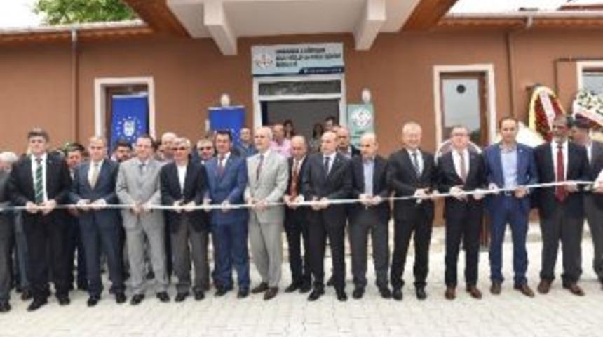 Eski K&ouml;y Okulu Anaokul Ve Kurs Merkezi Oldu