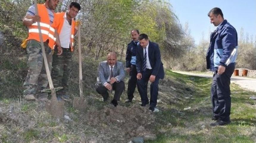 Bayat&rsquo;ta 7 Bin Fidan Toprakla Buluşturuldu