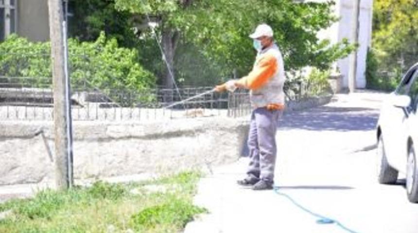 Şehir Merkezinde Yabani Ot İla&ccedil;lamasına Başlandı