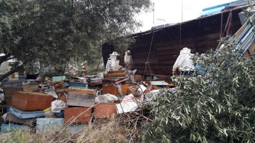 Arıkovanı Taşıyan Tır Yoldan &Ccedil;ıktı, Y&uuml;zlerce Kovan Arı Telef Oldu
