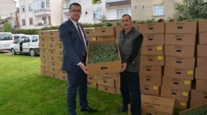 &Uuml;reticilere Sera Naylonu Dağıtıldı