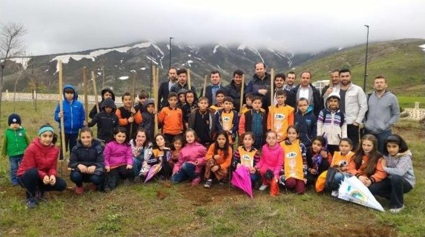 Yavru Temacılar Be&uuml; Yerleşkesine Fidan Dikti