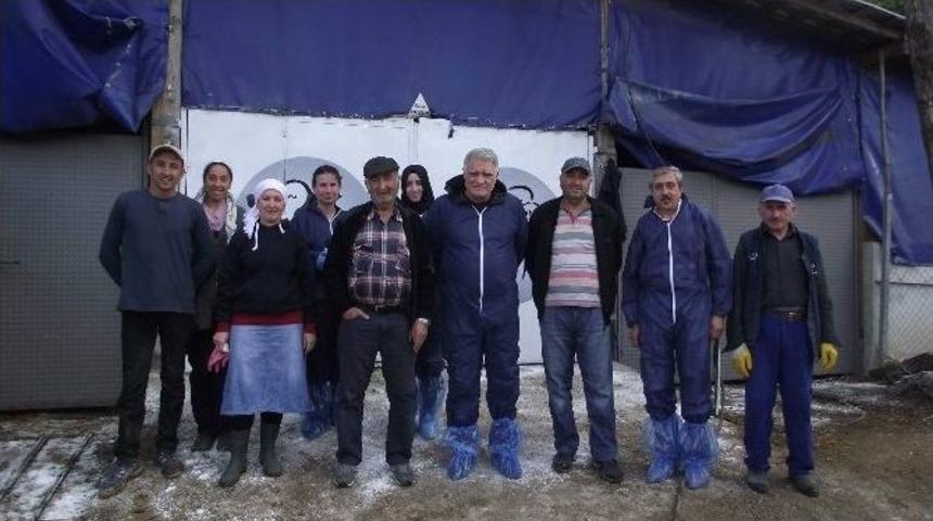 Hasta Hayvanlar Bu Hastanede Şifa Buluyor