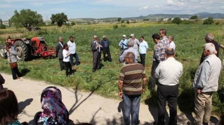 &Ccedil;anakkale&rsquo;de Tarla G&uuml;nleri Devam Ediyor