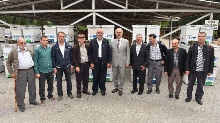 Bursa Arıcılık Merkezi Oluyor