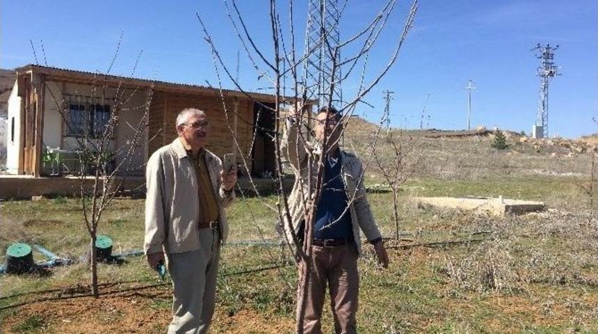 &Ccedil;ift&ccedil;ilere Uygulamalı Ağa&ccedil; Budama Eğitimi