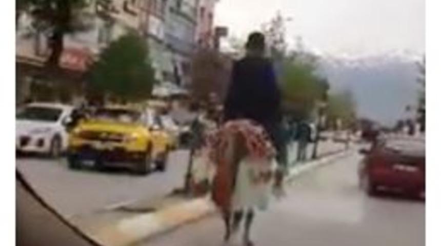 Trafikte İlerleyen At Şaşırttı