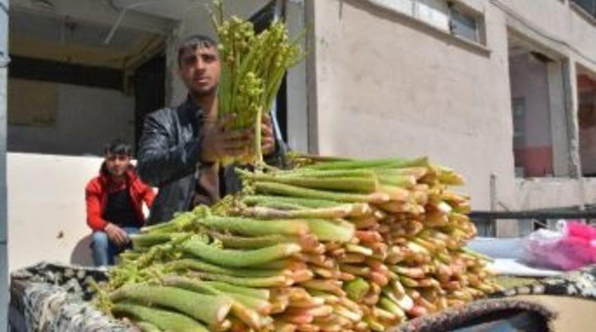 Yayla Muzu Tatvan’da Tezgahlardaki Yerini Aldı