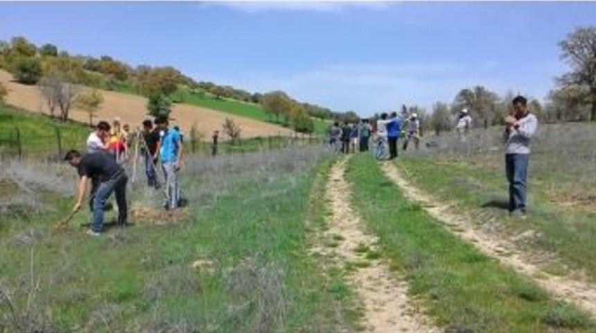 Gediz Meslek Y&uuml;ksekokulu&rsquo;na 300 Ağa&ccedil; Fidan